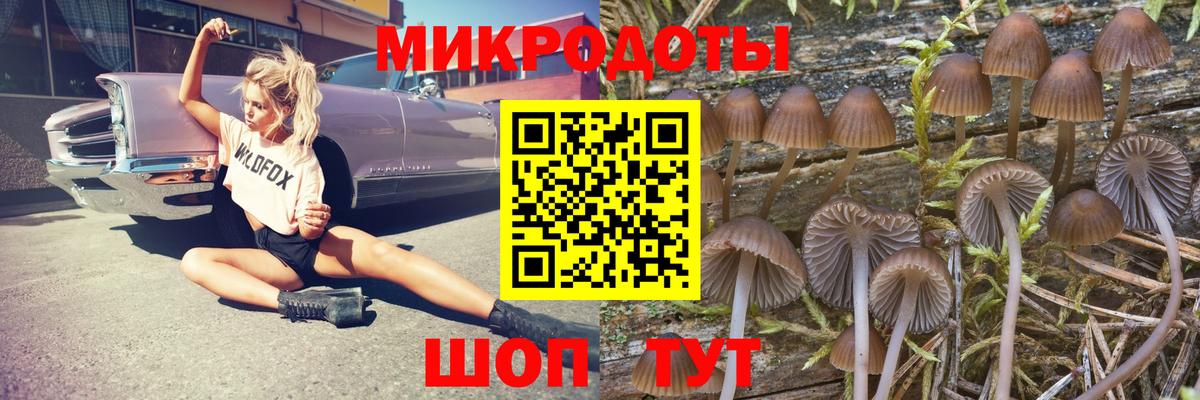 Псилоцибиновые грибы мицелий  Псилоцибиновые грибы ЛСД  Вход с VPN  Городец 